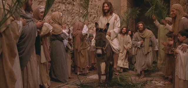 Triumphal Entry and Results