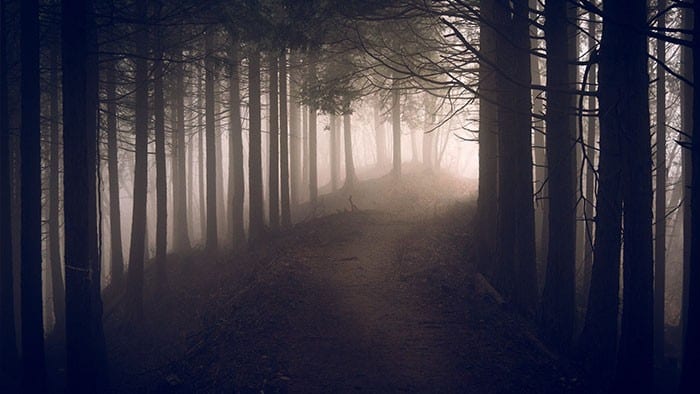 Bible verses about fear: Dark woods