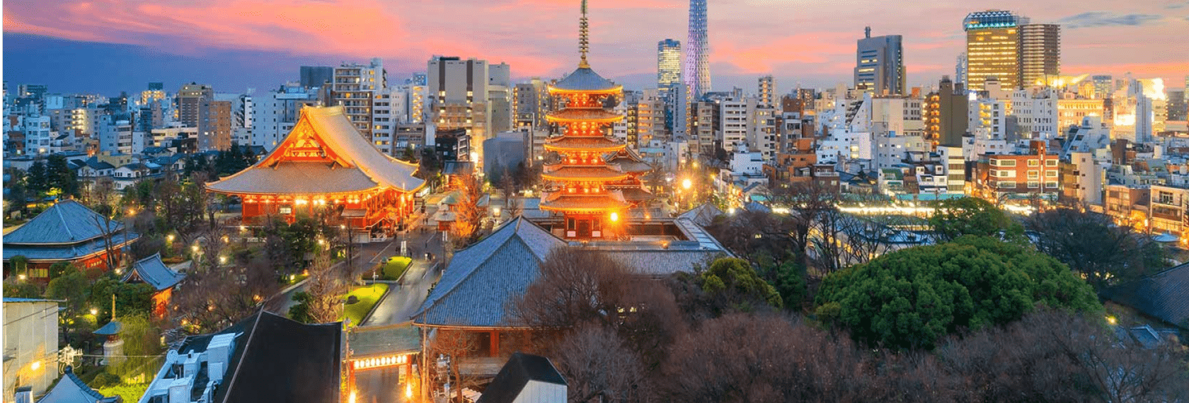 Japan city skyline