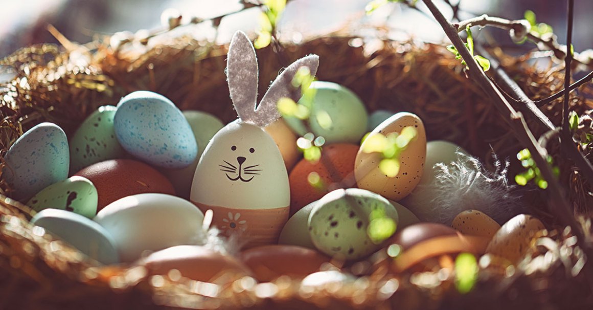 Picture of an easter basket with eggs and an egg dressed up as a bunny