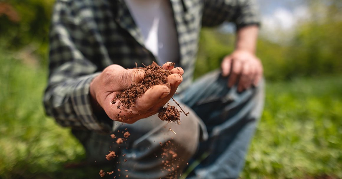 farmer holding soil between his fingers