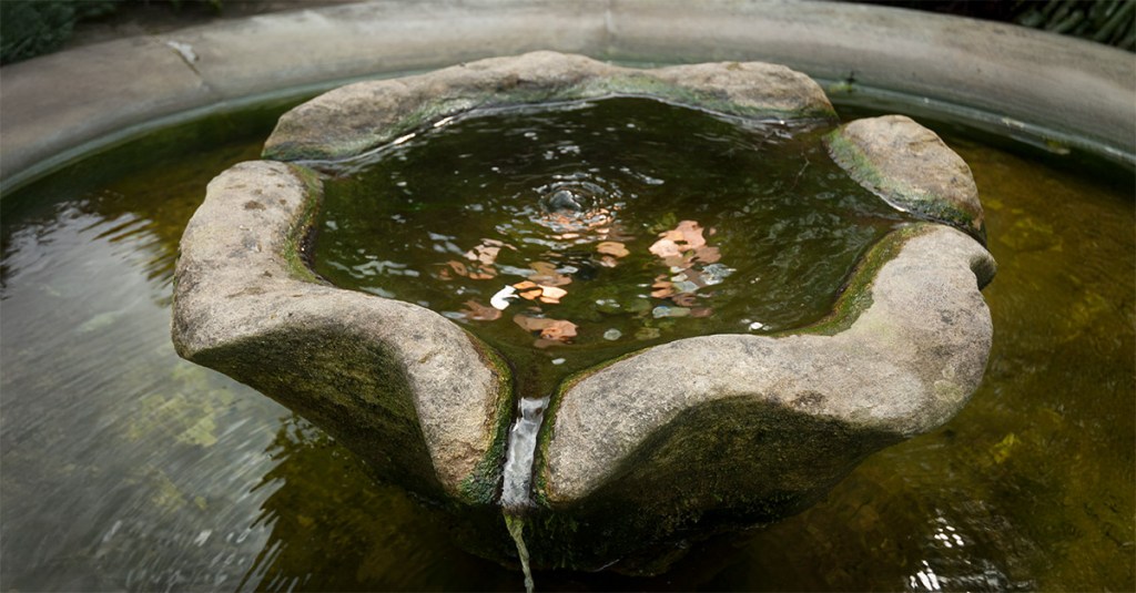 A weathered, clover-shaped stone basin of a fountain overflowing with dark water.