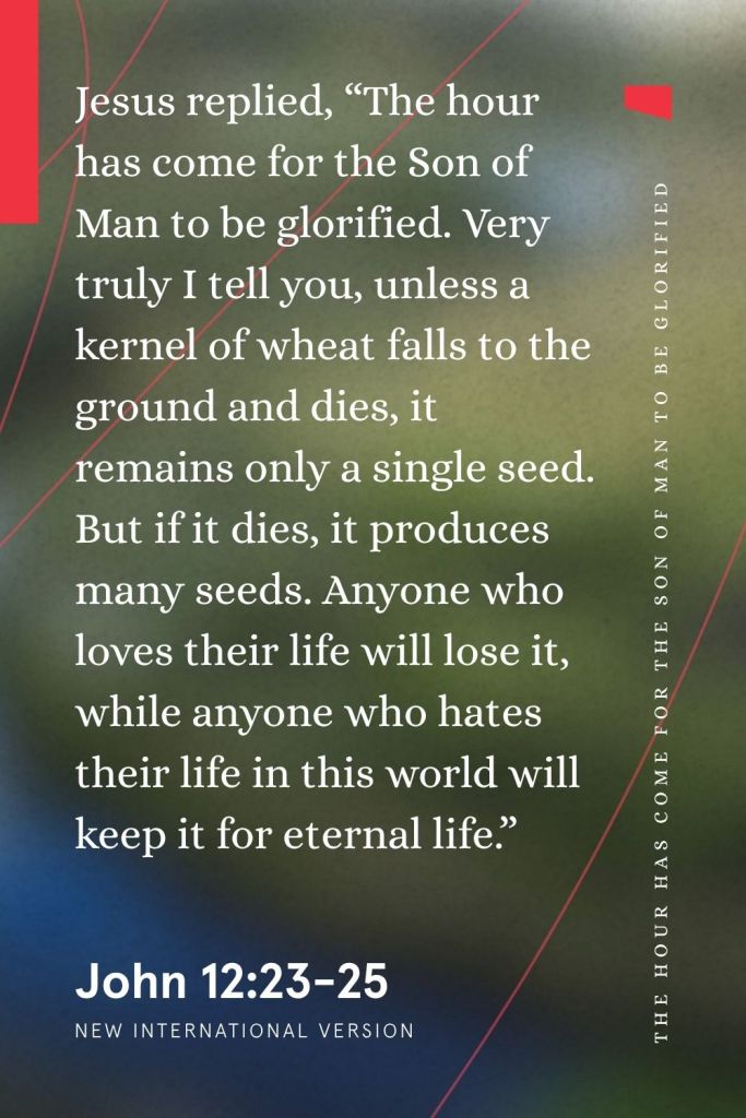 “Jesus replied, ‘The hour has come for the Son of Man to be glorified. Very truly I tell you, unless a kernel of wheat falls to the ground and dies, it remains only a single seed. But if it dies, it produces many seeds. Anyone who loves their life will lose it, while anyone who hates their life in this world will keep it for eternal life.’”
— John 12:23-25, NIV